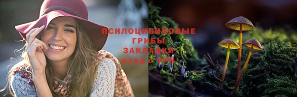 кокс Алзамай