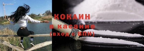 соль ск Алексин