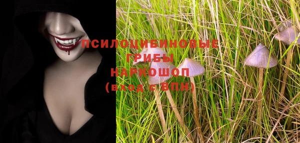 кокс Алзамай